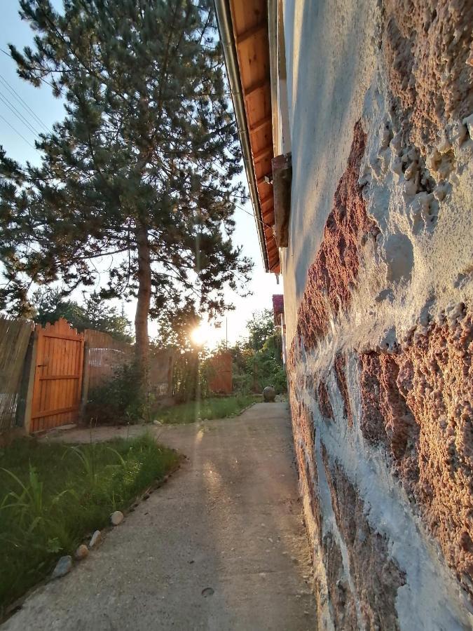 Ижата - Топлина И Уют Borovitsa Экстерьер фото