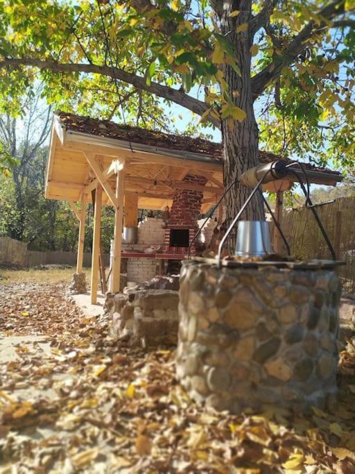 Ижата - Топлина И Уют Borovitsa Экстерьер фото